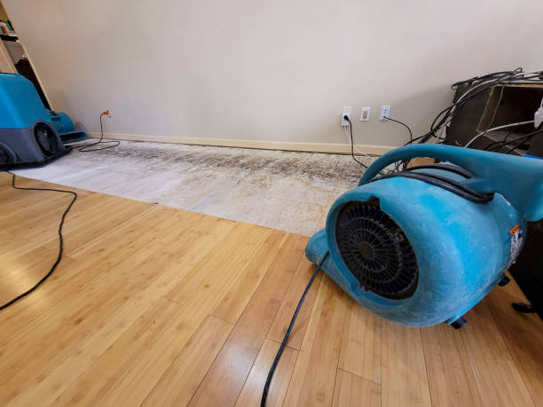 Professional Basement Flood Cleanup technician working in Milton, WI